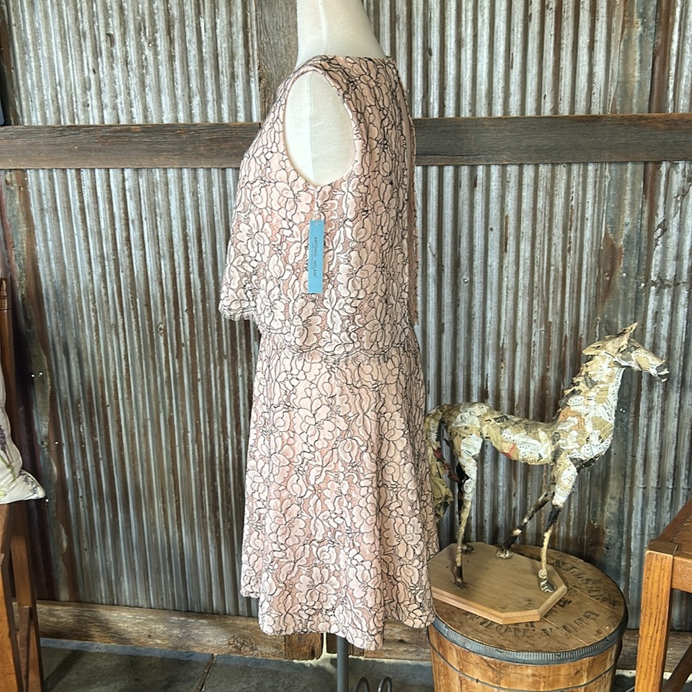 Antonio Melani Elegant Pink Lace Dress NWT! - Picture 4 of 11